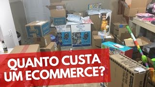 Quanto Custa Montar um Ecommerce do Zero [upl. by Nnylesor]