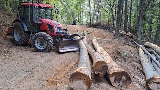 Dokončujeme bukový porast s Zetorom Proxima Stihl ms 462Amles Ťažba dreva Forestwork Felling [upl. by Babita]