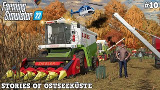 BIG MAIZE HARVEST with TWO COMBINES amp an IDIOT SEEDING 🌽🌿🚜💨  Ostseeküste  FS22  Timelapse 10 [upl. by Nathanil]