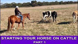 CAMPDRAFT TRAINING I Starting Your Horse on Cattle  Part 1 [upl. by Friedrick209]