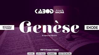 « Genèse »  LAncien Testament  La Sainte Bible audio VF Complète [upl. by Urbain239]