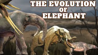 The Evolution of Elephants [upl. by Codel]