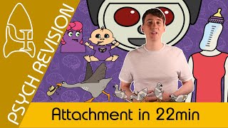 Attachment  AQA Psychology in 22 MINS [upl. by Akemej250]