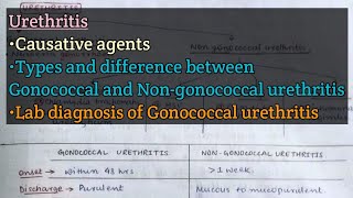 Urethritis  Causative agents  Gonococcal vs Nongonococcal urethritis  Gonococcal urethritis [upl. by Macnair]