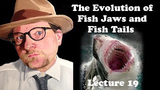 Lecture 19 The Evolution of Fish Jaws and Fish Tails [upl. by Isis]