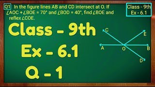 Class  9th Ex  61 Q 1 Lines and Angles Maths NCERT CBSE [upl. by Llyrrad518]