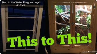 How to Build an Adult Chinese Water Dragon Enclosure [upl. by Franni951]