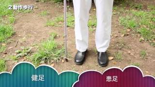 Walking with a cane 1 Difference between 2pointgait amp 3pointgait [upl. by Freyah]