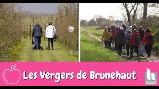 🌸 Les Vergers de Brunehaut 🍐 [upl. by Eiveneg]