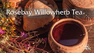 How to cook Fermented Fireweed or Rosebay Willowherb Tea 🌿 Nature and Cooking [upl. by Aihn19]