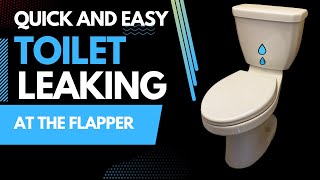 How to Fix a Leaking Toilet at the Flapper [upl. by Aliak817]