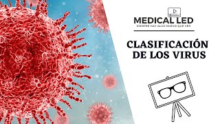 CLASIFICACIÓN DE LOS VIRUS Estructura y tipo de genoma [upl. by Nylyrehc349]