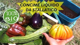 CONCIME LIQUIDO PER ORTO E PIANTE FAI DA TE DA STALLATICO [upl. by Manley428]