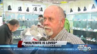 quotWulfenite Is Lovedquot at the 65th annual Tucson Gem and Mineral Show [upl. by Jevon]