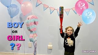 Cutest Sibling Gender Reveal  Piñata Party [upl. by Adekahs]