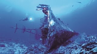 Zenobia Wreck Dive Highlight [upl. by Dincolo]