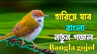 Hariye Jabo Ekdin Ami Bangla gojol  যাবো একদিন আমি রব না এই ভুবনে চিরদিন  বাংলা গজলbanglagojol [upl. by Caundra]