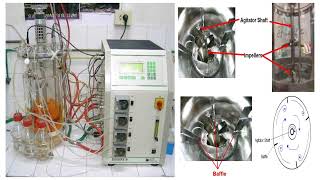 Fermentor and Breactor Principle and Functions [upl. by Cantu100]