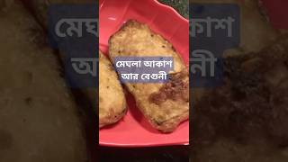 Meghla Akash ar beguniমেঘলা আকাশ আর বেগুনী🙂 viral shorts [upl. by Trimmer636]