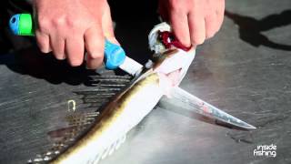 Inside Fishing Extra How to prepare a Boneless Flathead Fillet [upl. by Donall]