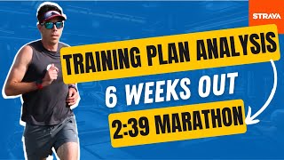 239 Marathon Training Plan  Day by Day Analysis  6 Weeks to Go [upl. by Doowyah704]