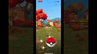 Halloween pumpkaboo field research caught pokemongo [upl. by Hamirak]