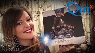 HARRY POTTER amp RUBEUS HAGRID HERMIONE GRANGER Q FIGS amp G FIGS MAX QUANTUM MECHANIX FIGURES UNBOXING [upl. by Eniaj524]