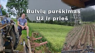 Purškiam bulves nuo žolės [upl. by Airretal]