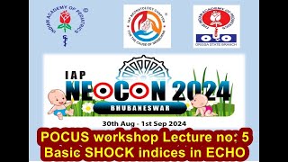 IAPNEOCON 2024 POCUS Workshop Shock indices in ECHO [upl. by Atikir321]