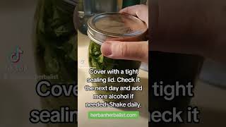 How to make a fresh motherwort tincture herbalmedicine hearthealth naturalhealth herbalremedies [upl. by Onifur]