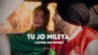 Tu Jo Mileya Slowed Reverb MixSingh Shruti Bakshi Juss New Punjabi Romantic Song 2024360 [upl. by Akiras]