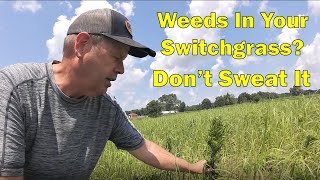 What Weed Killer Is Safe To Spray On Switchgrass  RC Big Rock [upl. by Oicnerual359]