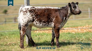 Lot 35  BJF HEIFER 98 [upl. by Zebe]