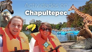 🔥 ¿Qué hacer en el parque de Chapultepec México I Qué hacer Ciudad de México [upl. by Nicoli]