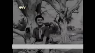 HDVidz in Kodekaru Chinnavaada superhit video song Mundadugu 1958 [upl. by Ik]