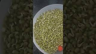 Green gram Sundal  Pachapayiru Sundal Recipe  Navratri Sundal Recipes [upl. by Chassin910]