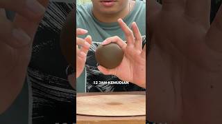 MENCOBA BUAT DORODANGO 😤 [upl. by Annmarie]