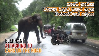 elephant attack to cars on the road who stop attack chasing elephant [upl. by Annaehs]