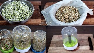 SproutsSuper FoodHow to Sprout Seeds in a Glass Jar at HomeStoringSprouter Review [upl. by Esdnyl]