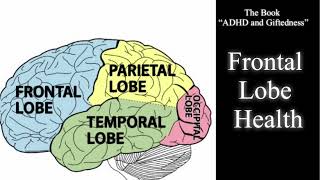 ADHD and Frontal Lobe Health The Book “ADHD and Giftedness” [upl. by Ardnnek]