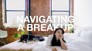 navigating a breakup [upl. by Akinot]