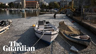 Hundreds of thousands of dead fish blanket Greece tourist port after flooding [upl. by Morville]