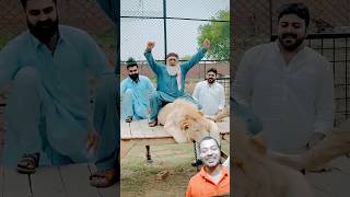 jindgi me koi hastat adhuri na rakhe atitude l lion animals shorts youtubeshorts shortvideo [upl. by Ada]