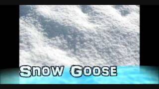 ♪Snow Goose 高音質 [upl. by Eseenaj401]