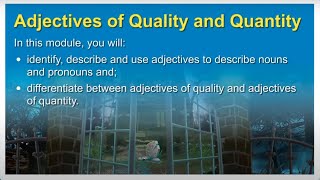 Adjectives of Quality and Quantity  English Grammar [upl. by Oicnanev]