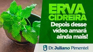 ERVA CIDREIRA DEPOIS DESTE VÍDEO VOCÊ AMARÁ AINDA MAIS [upl. by Mich]