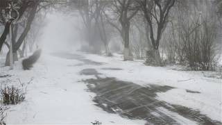 💨 Winter Storm Ambience with Howling Blizzard and Drifting Snow on an Abandoned Road in Norway [upl. by Holly990]