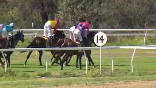 Goondiwindi 20240907 Race 1 [upl. by Adivad]