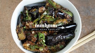 Spicy Asian Eggplant Recipe  Mmhmm [upl. by Aisila]