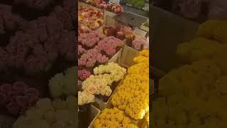 Flower 💐 market in Germany 🇩🇪 👍 [upl. by Nawj49]